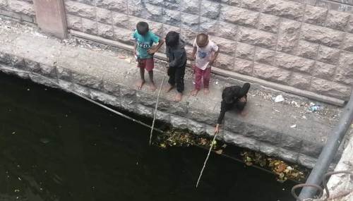 Porsuk Çayı kenarında korku dolu anlar yaşandı!