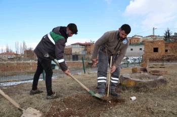 Talas Belediyesi, kırsalda ağaçlandırma seferberliği başlattı