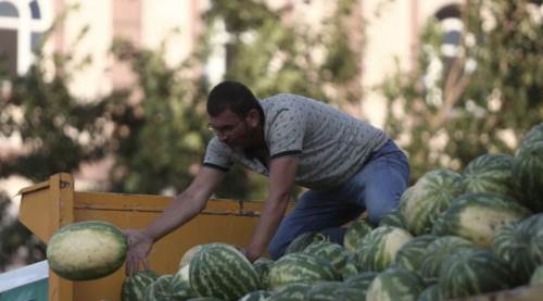 Tarlada karpuz kalınca vatandaşa ücretsiz dağıtıldı!