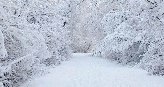 24 Kasım Pazar Bolu'da hava durumu