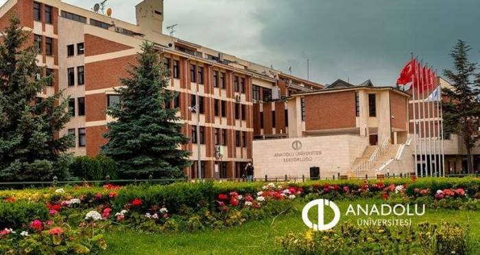 Anadolu Üniversitesi'nden çifte başarı