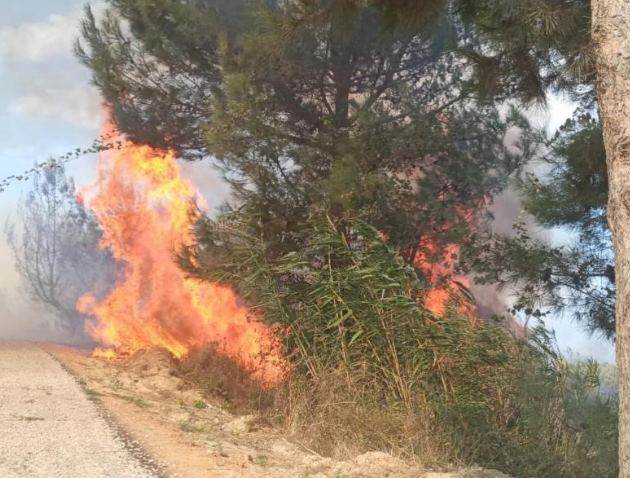 Antakya’da orman yangını büyümeden söndürüldü