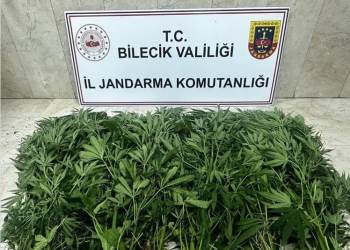 Bilecik’Te Uyuşturucu Operasyonu: 2 Şüpheli Tutuklandı
