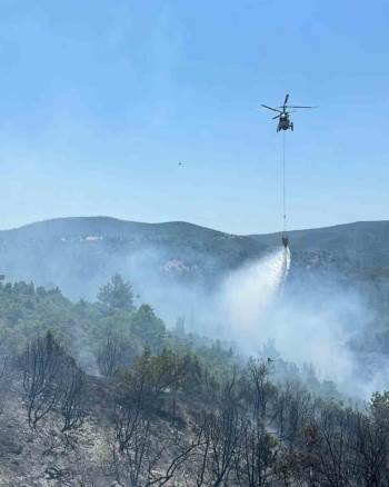 Bilecik’Teki Orman Yangınına Hem Havadan Hem Karadan Müdahale Edildi
