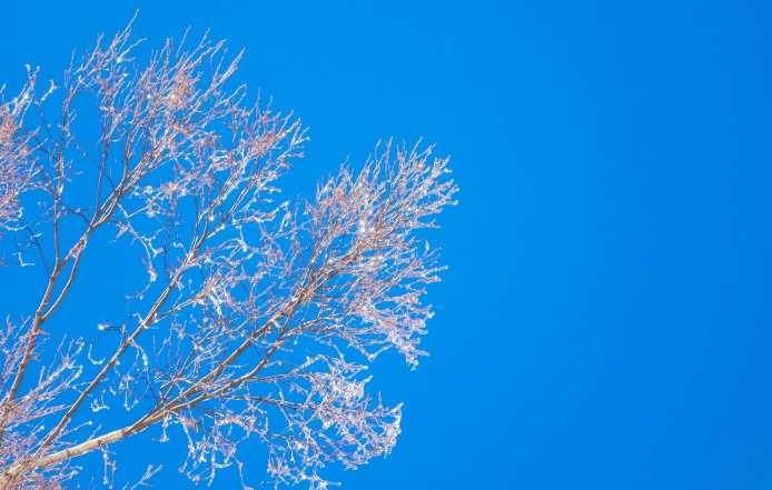 Bolu'da hava durumu nasıl olacak? (22 Kasım 2024)