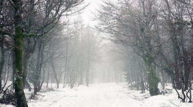 Bolu'da hava durumu nasıl olacak? (28 Aralık 2024)