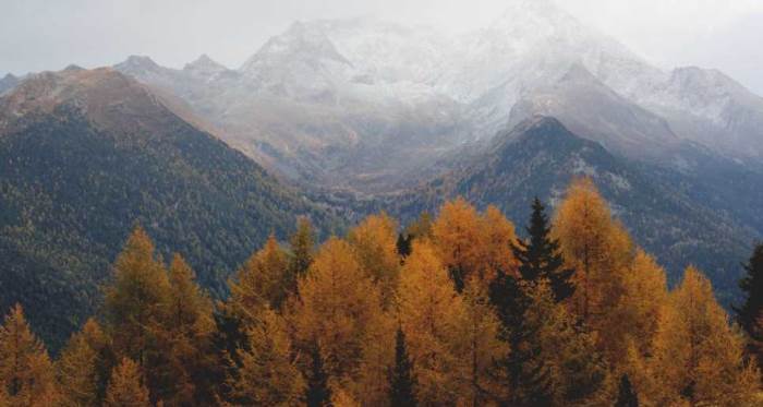  Bolu'da hava durumu nasıl olacak? (4 Kasım 2024)