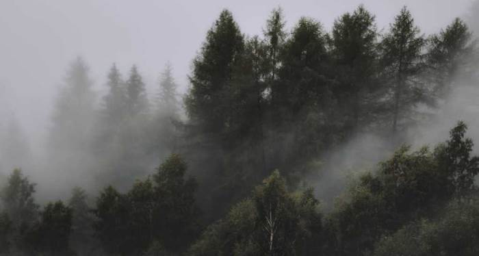 Bolu'da hava durumu nasıl olacak? (6 Kasım 2024)