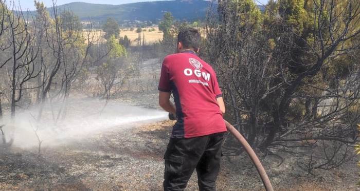 Bozüyük'te çıkan anız yangını ormanlık alana sıçramadan söndürüldü 