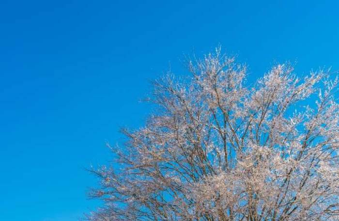 Burdur'da hava durumu nasıl olacak? (22 Kasım 2024)