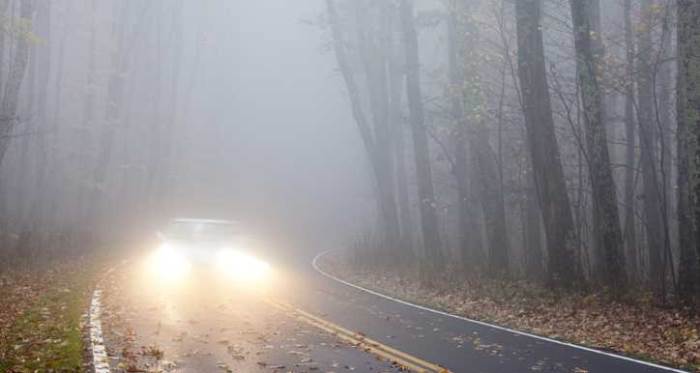 Düzce'de hava durumu: İşte tahminler...