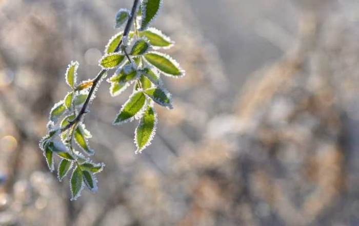 Düzce'de hava durumu nasıl olacak? (22 Kasım 2024)