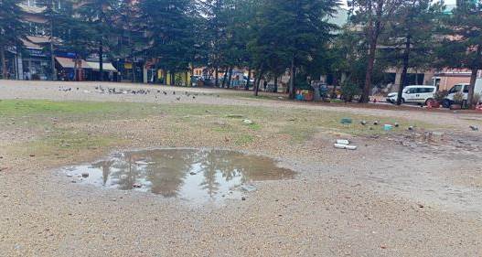 Eskişehir 2 Eylül Caddesi'nde güvercinlere doğal su kaynağı oluştu