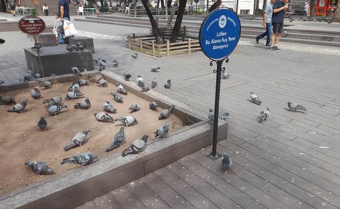 Eskişehir'de duyarsız vatandaşlar uyarıyı dinlemediler!