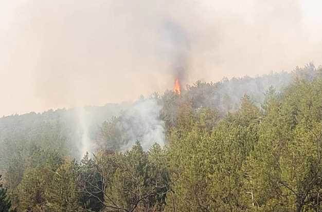 Eskişehir'de onlarca kişiyi harekete geçiren orman yangını!