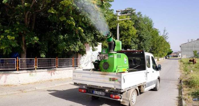 Eskişehir'de sineklerin kabusu sokaklarda!