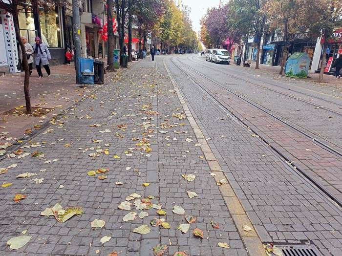 Eskişehir'de sonbaharın izleri adeta görsel şölen!