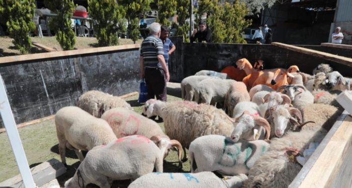 Eskişehir'de ücretsiz kurban kesim yerinden vatandaşlar memnun kaldı