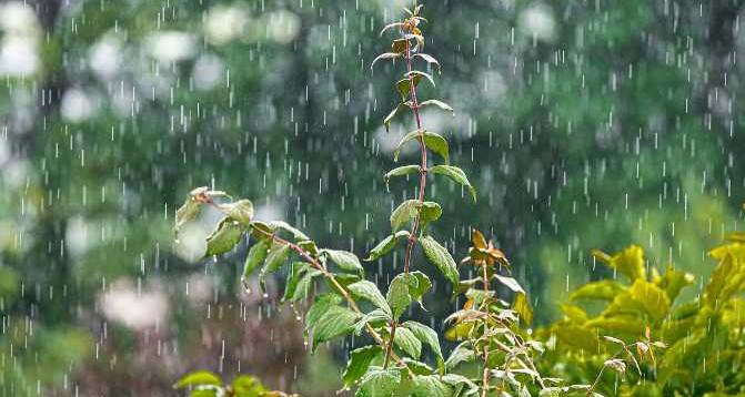Eskişehir'de yağmur alarmı: O ilçeleri Meteoroloji uyardı!