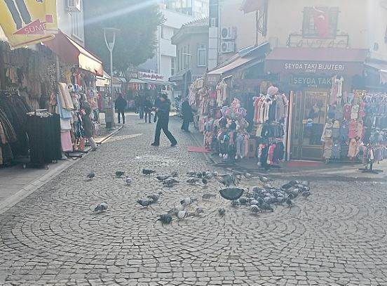 Eskişehir merkezindeki kuş yemleri kirliliğe neden oldu