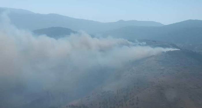 Hatay’da orman yangını