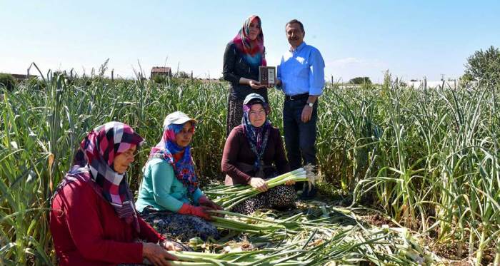 İşte Tepebaşı Belediyesi'nin üreticiye ve çiftçiye sağladığı destekler...