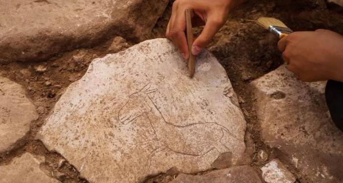 Karahantepe Nerede, Hangi Kazılar Yapılıyor, Ne Bulundu? Arkeolojik Önemi ve Neolitik Eserler