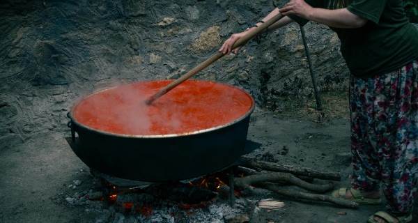 Küflü Salça Güvenli mi? Avustralyalı Uzman Yıllardır Yanlış Bildiğimiz Gerçeği Açıklıyor