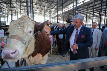 Kütahya’Da Canlı Hayvan Pazarı Açıldı
