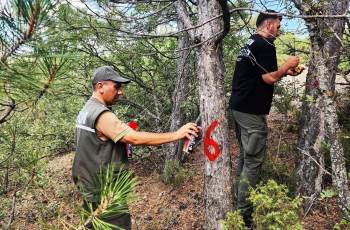 Kütahya’Da Hava Kirliliği Etkilerinin Değerlendirilmesi İçin Ormanlar Gözlemleniyor
