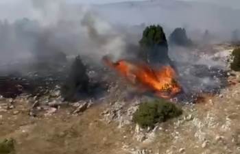 Kütahya’Da Orman Yangını: 10 Dekar Alan Zarar Gördü
