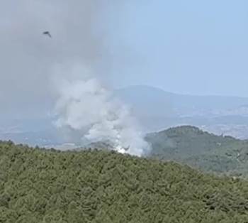 Kütahya’Da Orman Yangını
