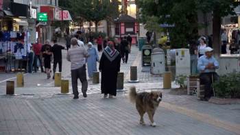 Kütahya Kredi Kullanımı Ve Batık Kredi Tutarında 40. Sırada
