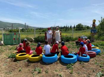 Öğretmen Kendinse Ait Bahçesini Öğrencilerine Etkinlik Yapmak İçin Hazırladı
