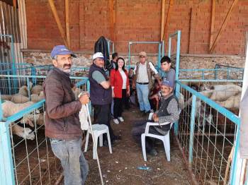 Pazaryeri’Nde Kurban Satış Noktası Denetlendi
