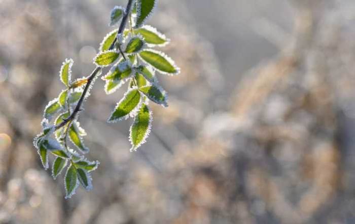 Sakarya'da hava durumu nasıl olacak? (12 Kasım 2024)