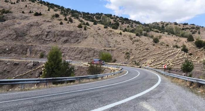 Şehir hayatının stresinden kaçıp, huzuru onda buldu...