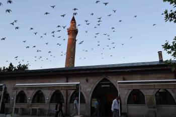 Sivas’ın Tarihi Ulu Camii'nde Mevlit Kandili coşkusu