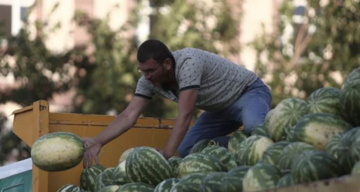 Tarlada karpuz kalınca vatandaşa ücretsiz dağıtıldı!