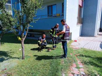 Tavşanlı’Da Alev Alan Mutfak Tüpü Paniğe Sebep Oldu
