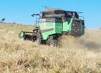 Tavşanlı Kuruçay Beldesinde Harman Zamanı
