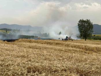 Yenipazar’Da Ekin Tarlarında Peş Peşe Yangın
