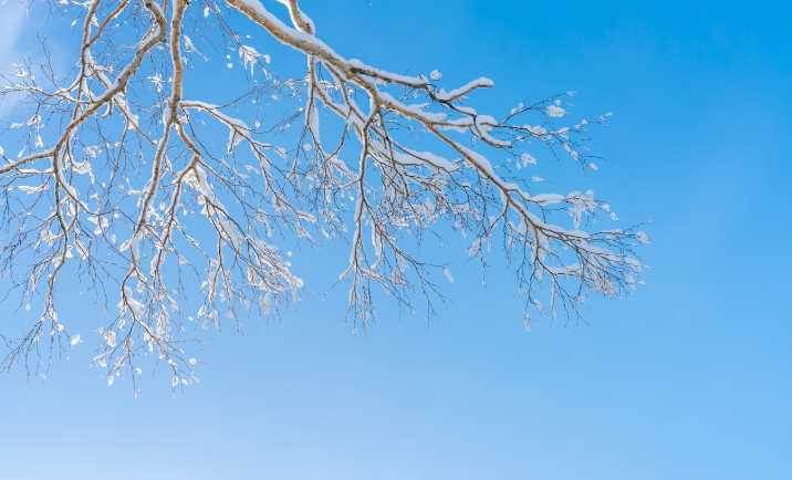 Afyonkarahisar'da hava durumu nasıl olacak? (…