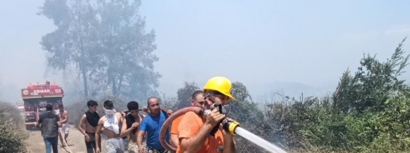 Antalya'da mezarlık yangını ormana sıçradı, m…