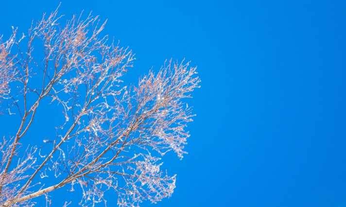 İstanbul'da hava durumu nasıl olacak? (4 Aral…